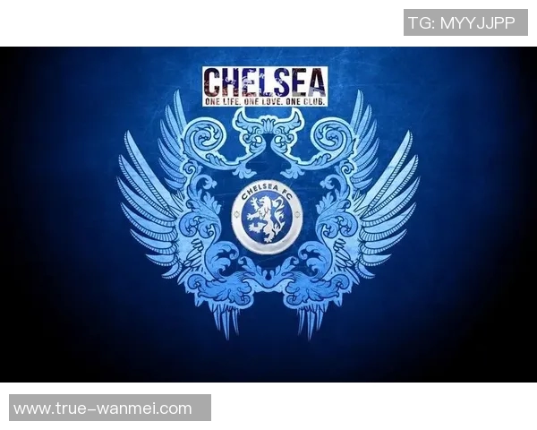 探索2014足球经理队徽的设计理念与历史背景解析 探索2014足球经理队徽的设计理念与历史背景解析