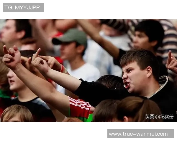 足球流氓暴力事件频发背后的社会问题与治理对策探讨